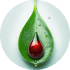 Diabetes and metabolic disorders